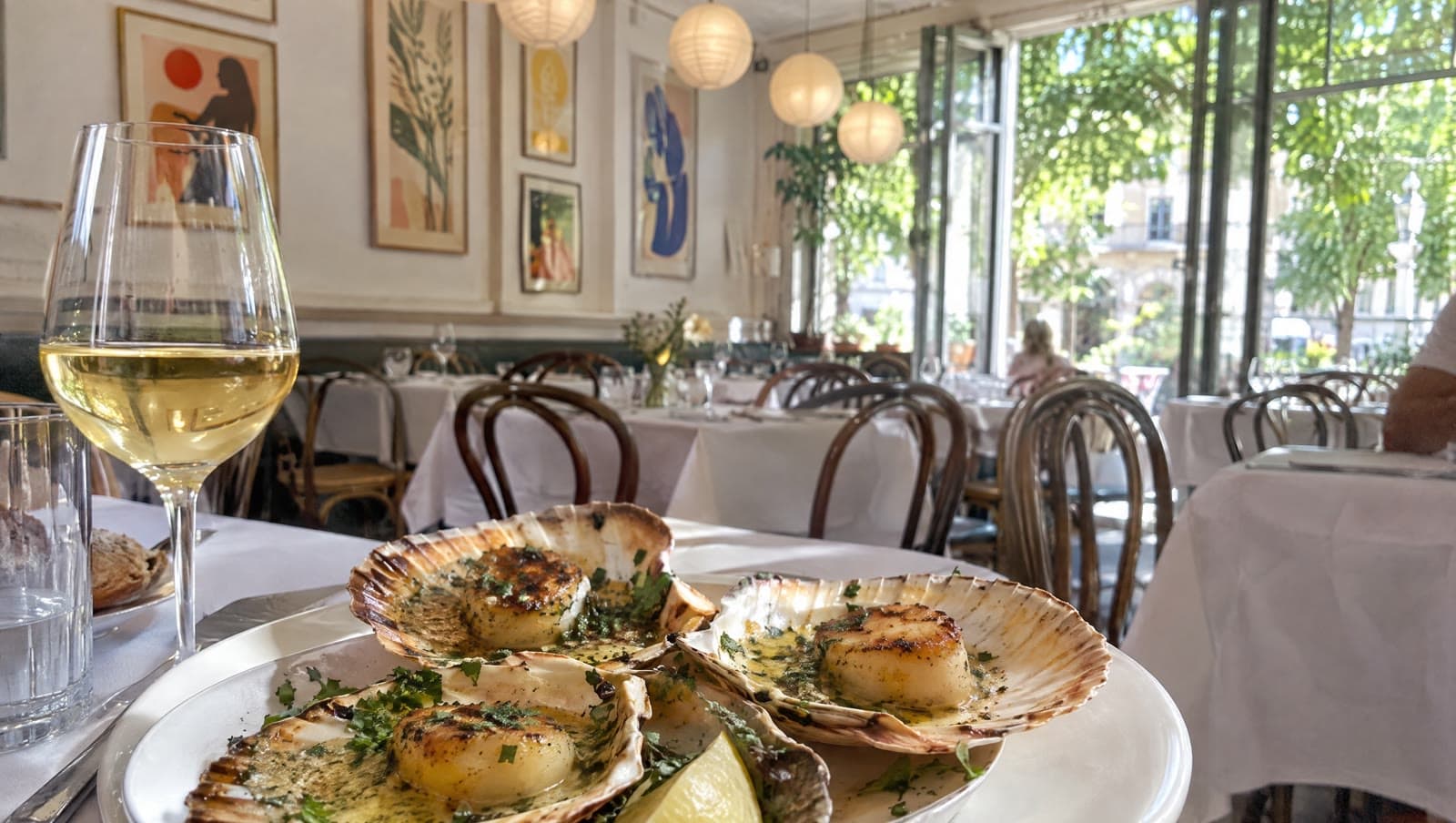 Kammuslinger i skal og hvidvin i den lyse bistro — Le Saint Jacques