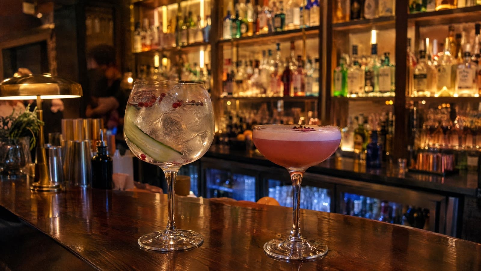 Gin & tonic foran væggen af gin — Sylvius Ginbar